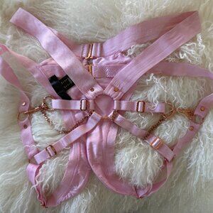 RARE Honey Birdette KUKURO Light Blush Pink Briefs Panty L NWOT